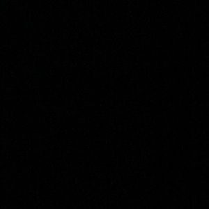 Meet your Posher, Charlotte